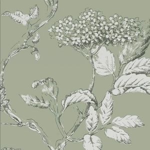 Meet your Posher, Ariana